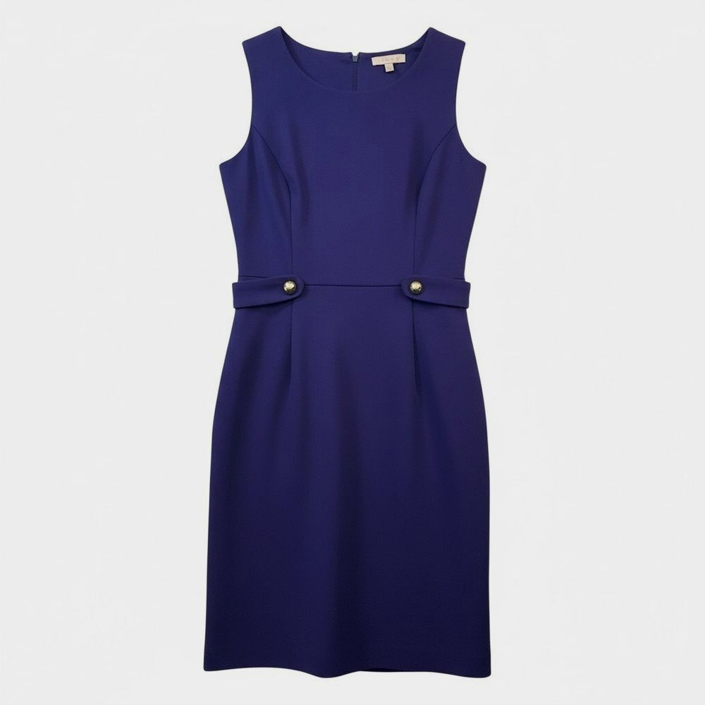Banana Republic Royal Purple Shift Dress size 10